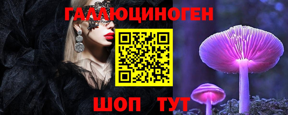 Щёкино  Псилоцибиновые грибы мицелий  Псилоцибиновые грибы Magic Shrooms  Вход с VPN 